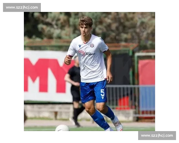 汉堡布鲁日竞逐武什科维奇 热刺新帅弗兰克将评估租借可行性