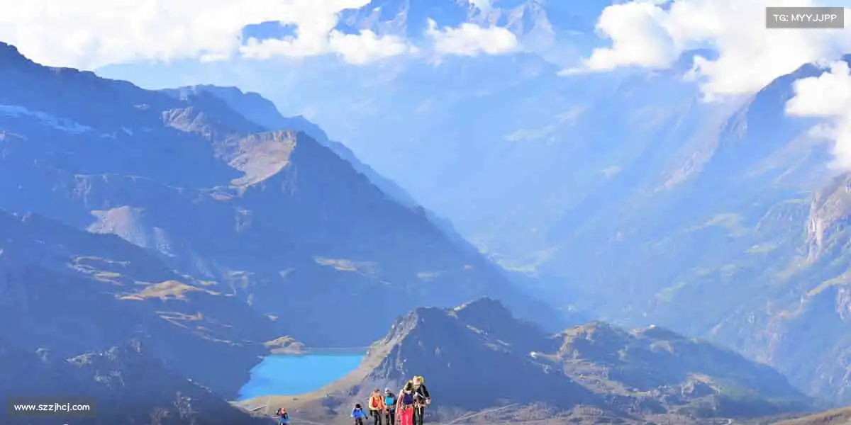 为什么选择我们